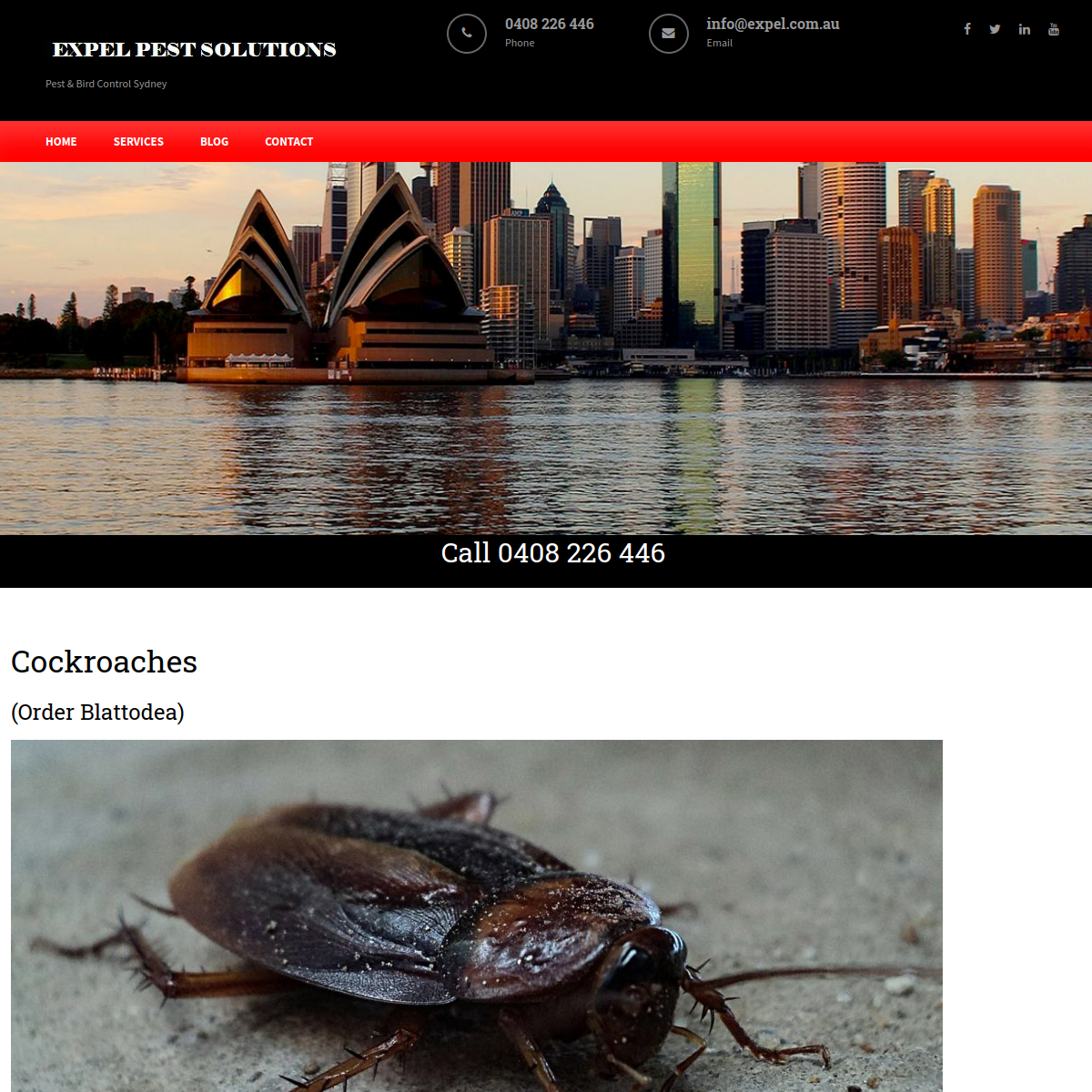 2026 screenshot of Expel cockroach control Sydney page