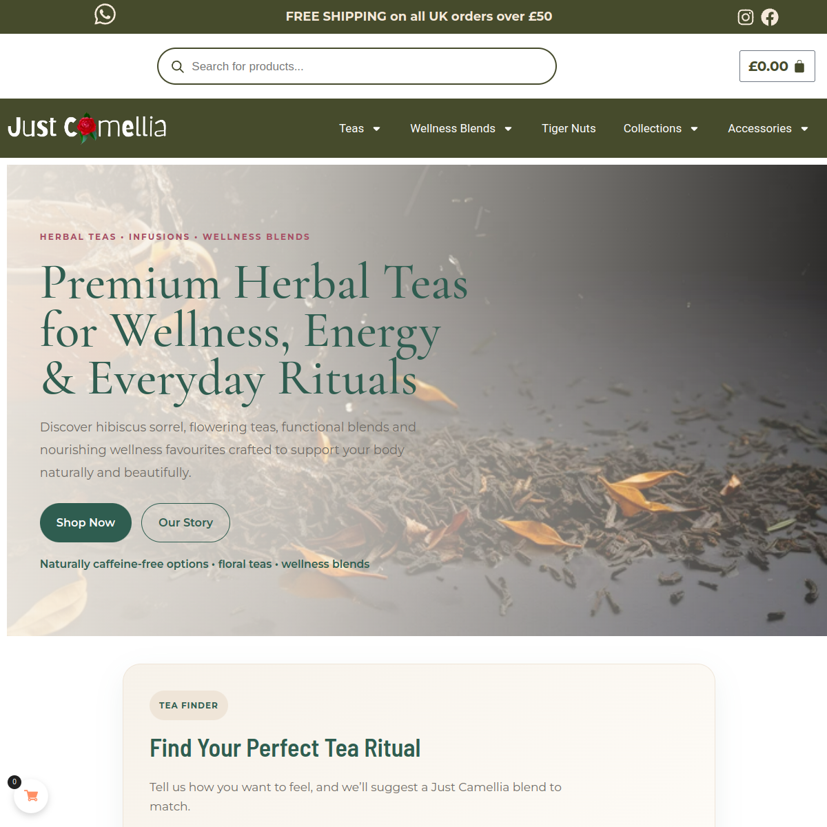 Just Camellia website screenshot