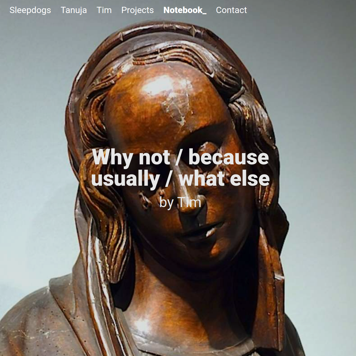 Why not / because usually / what else _ Sleepdogs