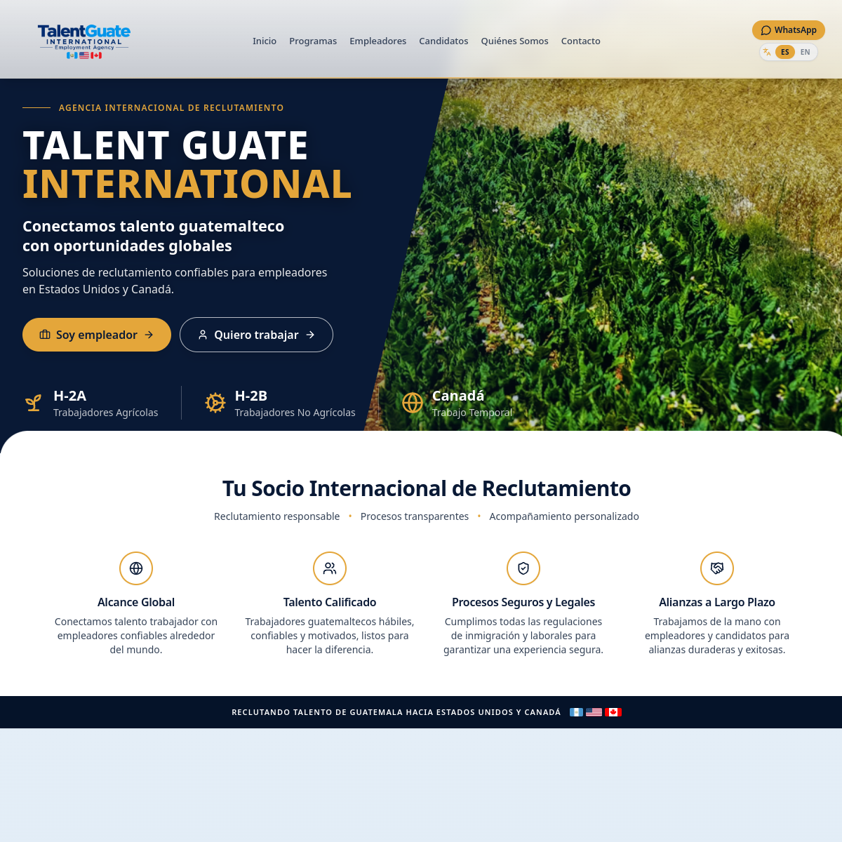 Talent Guate International