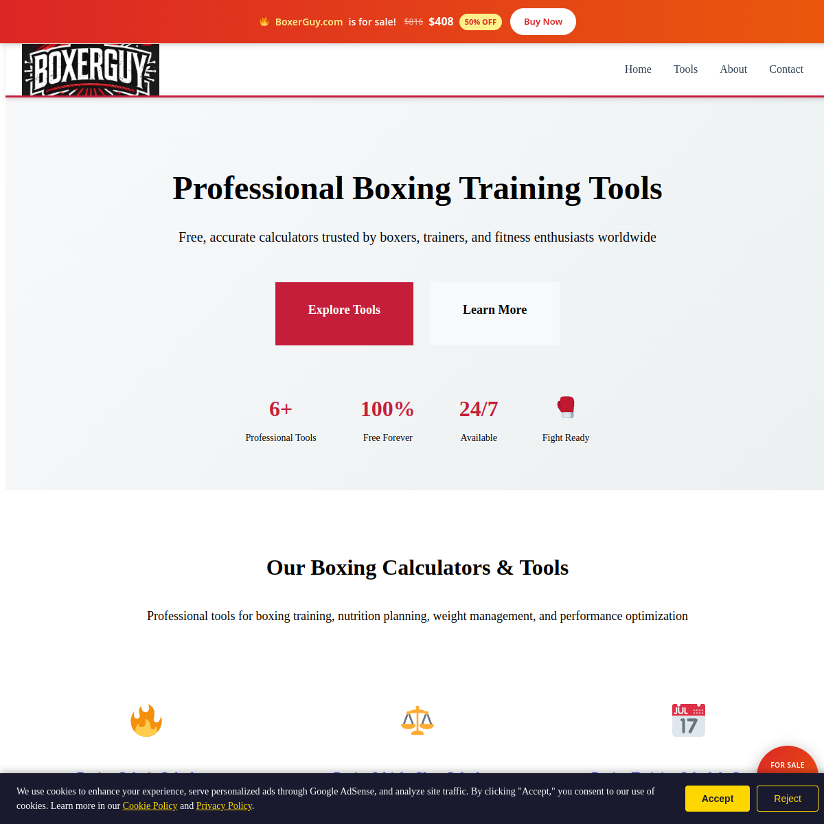 BoxerGuy.com live screenshot