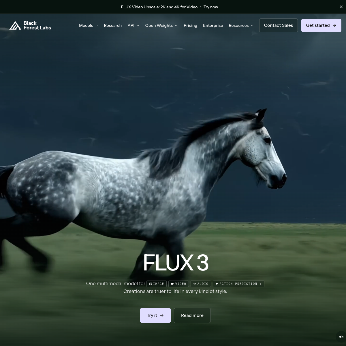 Screenshot of FLUX