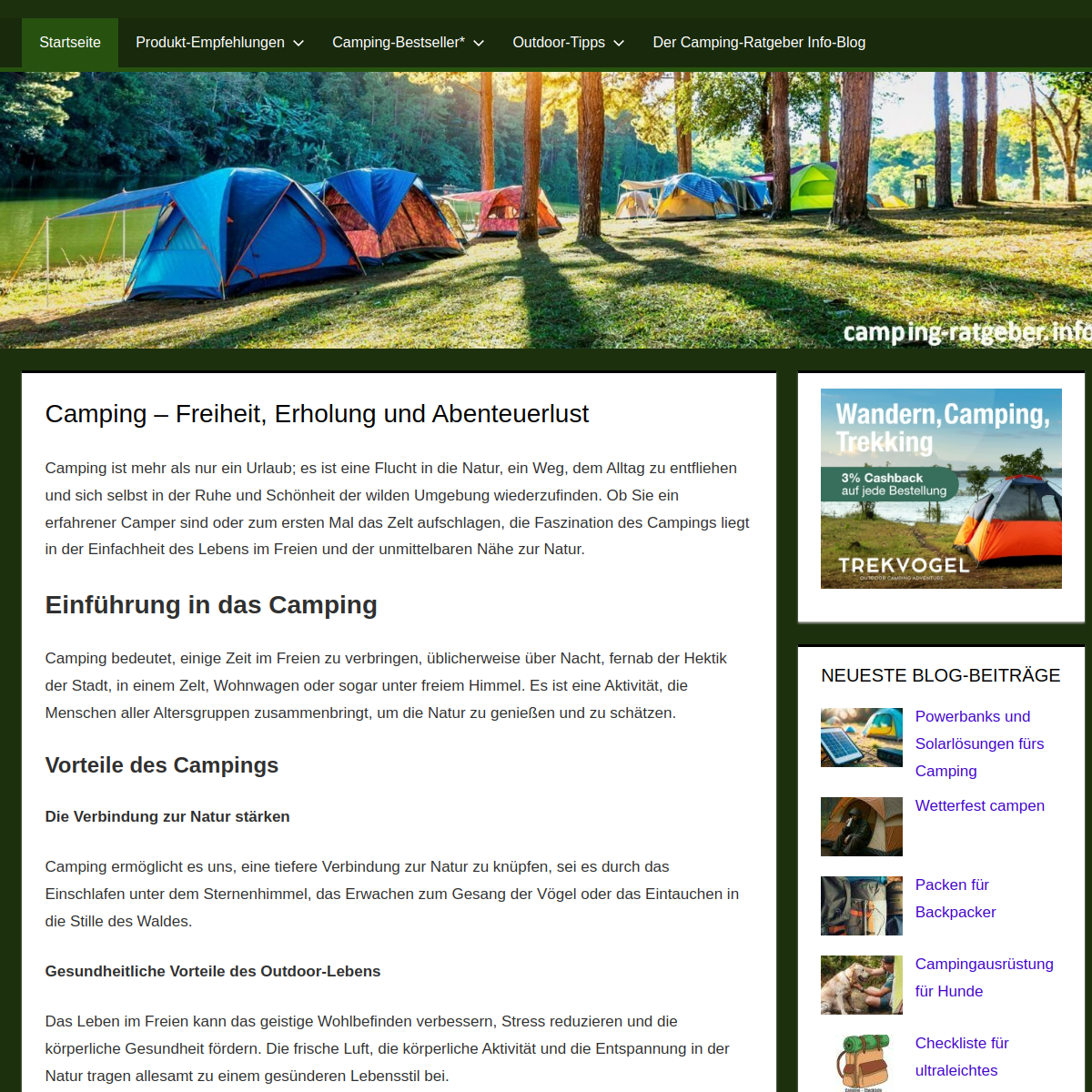 Screenshot der Website
