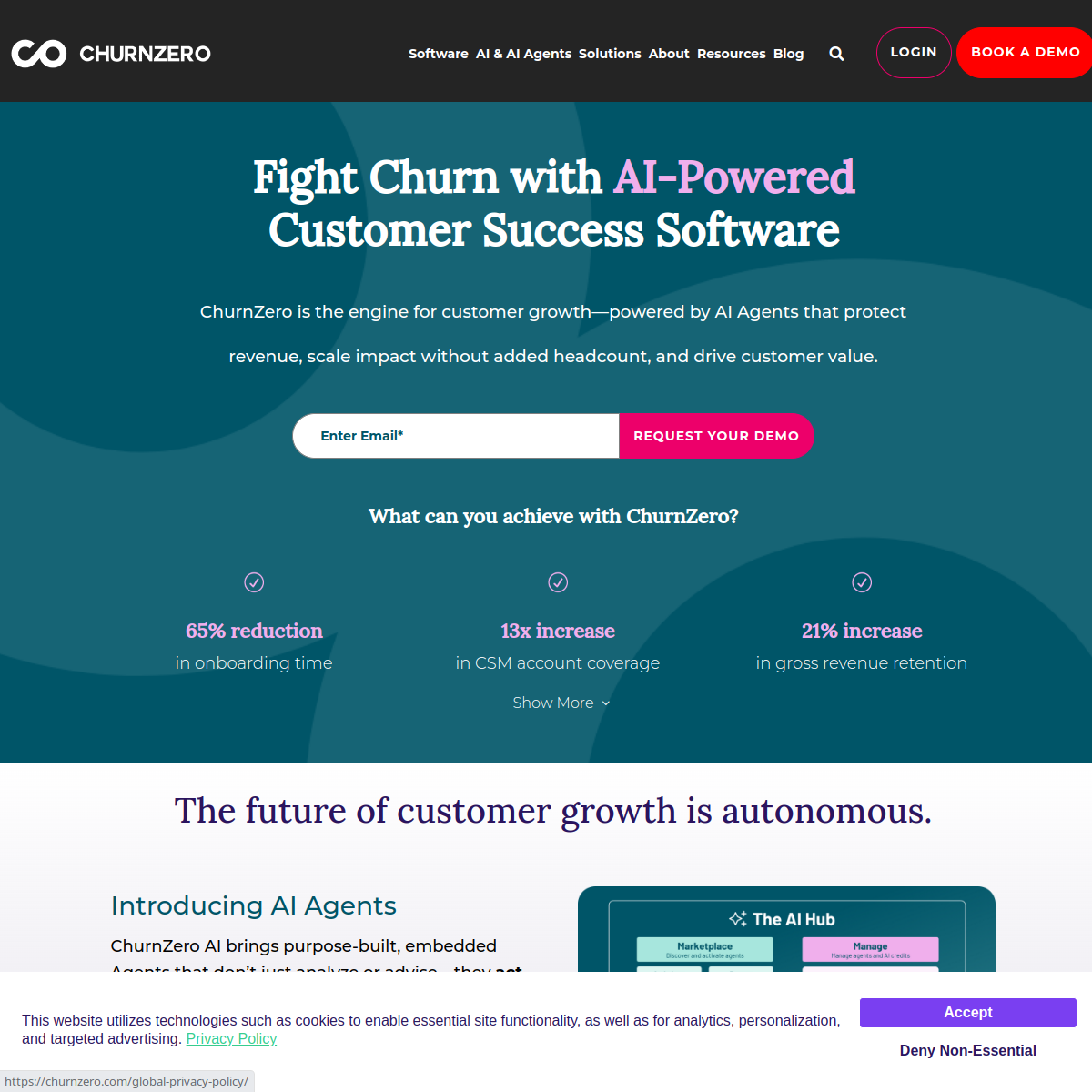 Screenshot of ChurnZero