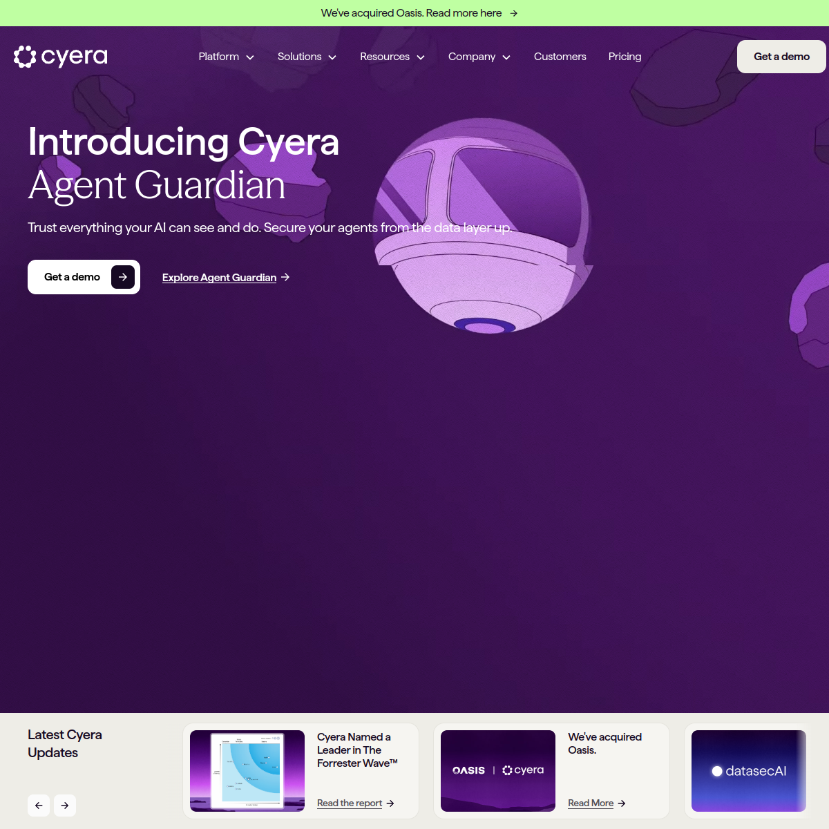 Screenshot of Cyera