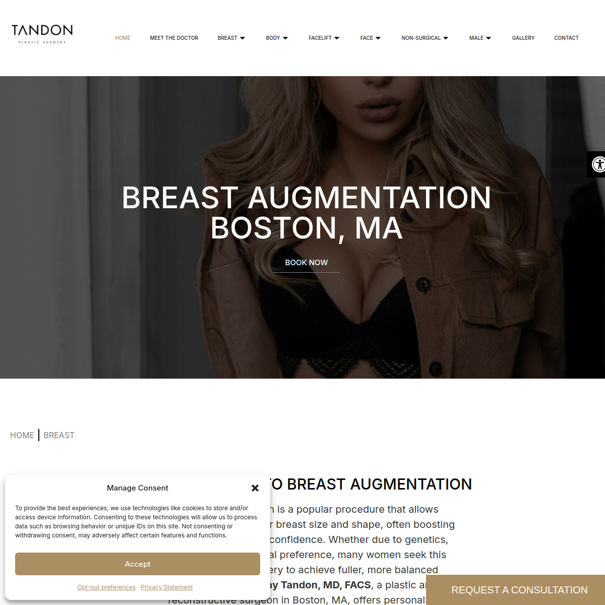 Screenshot of Dr. Vickram Tandon | Tandon Plastic Surgery