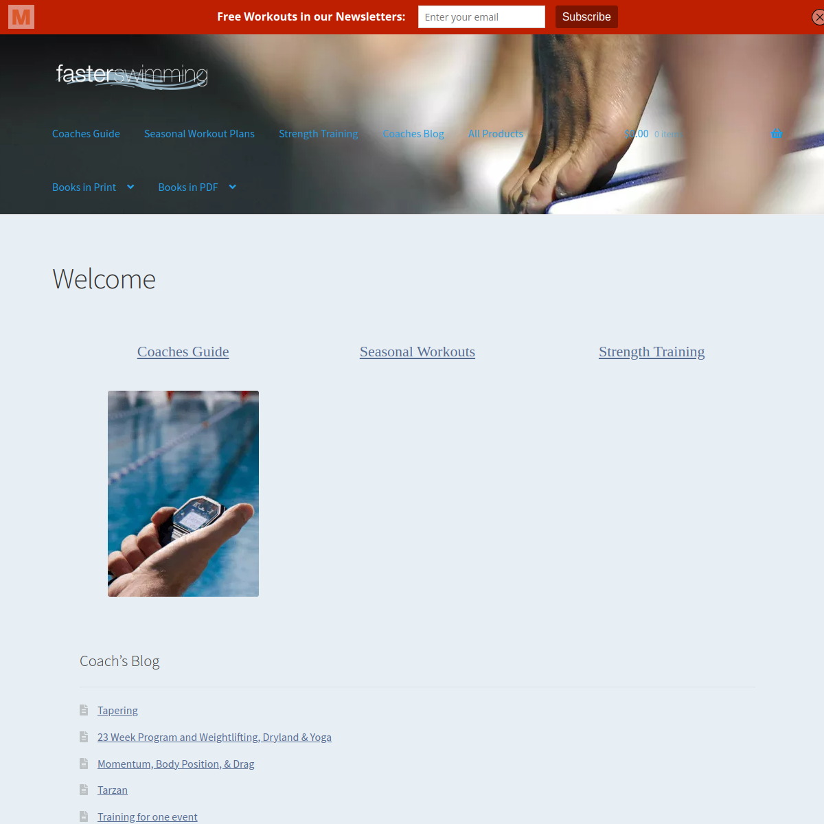 Screenshot of Faster Swimming