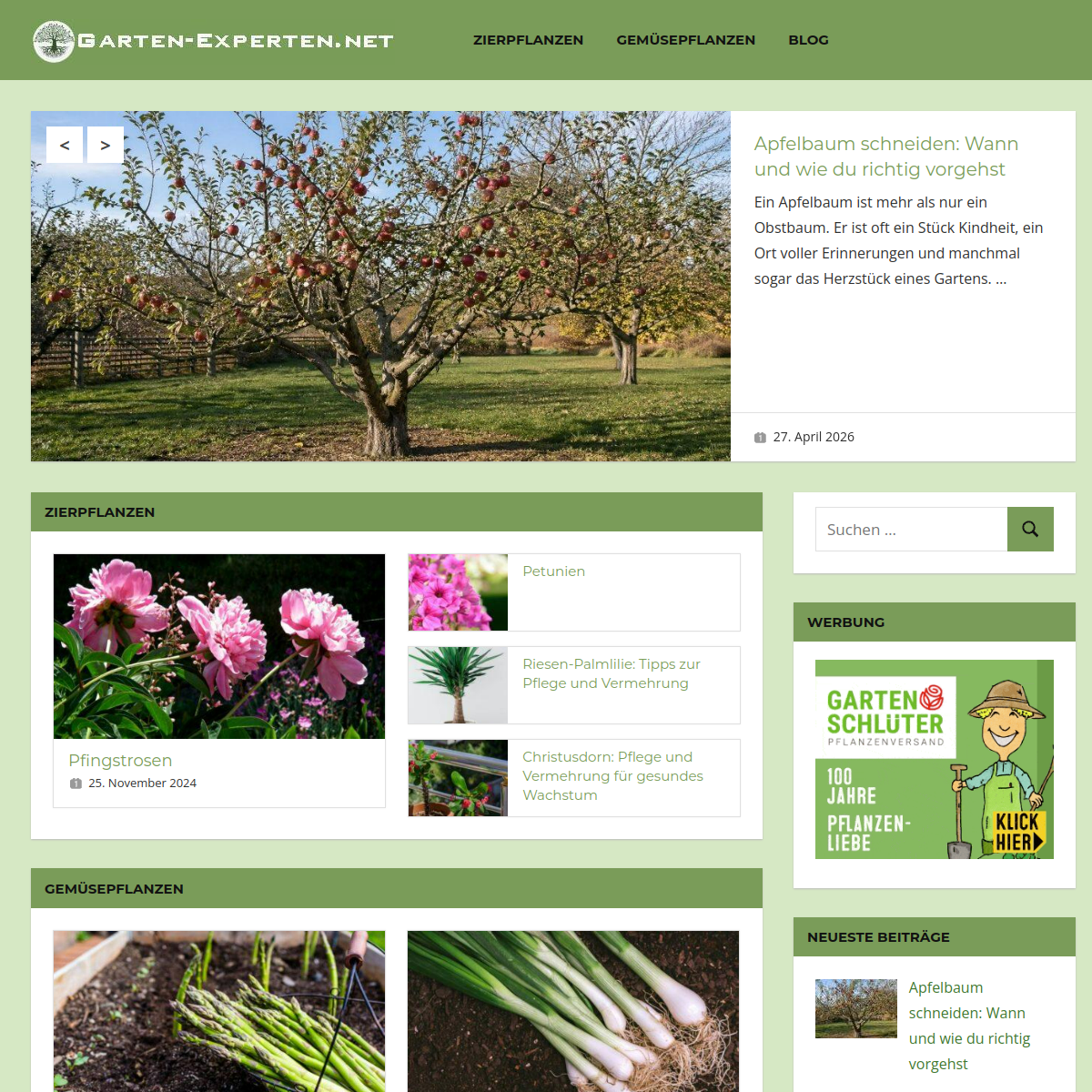 Screenshot der Website