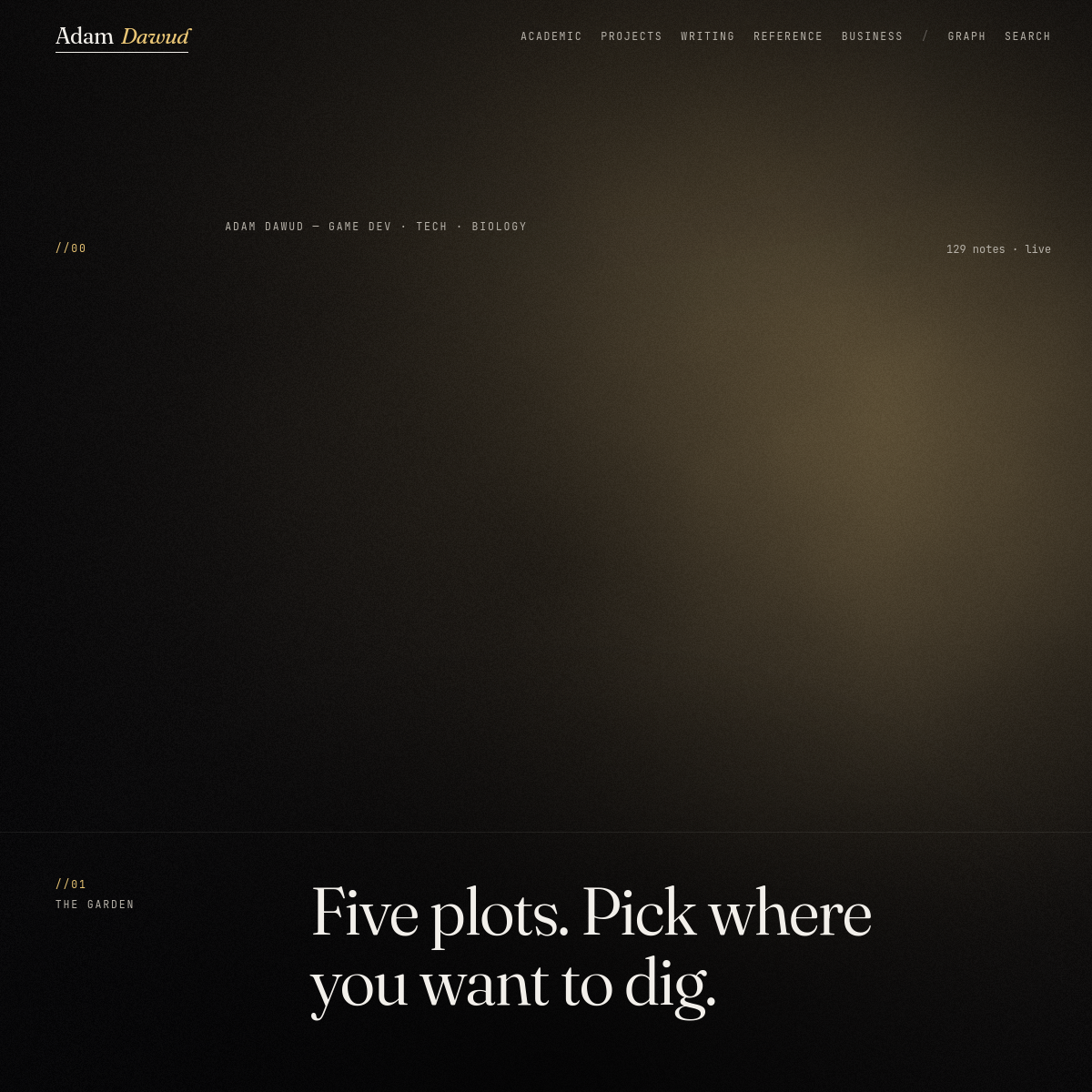Screenshot preview of learn.devoctopi.com