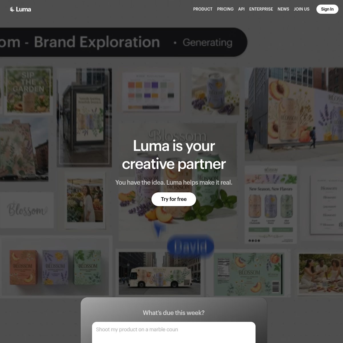 Screenshot of Luma Genie