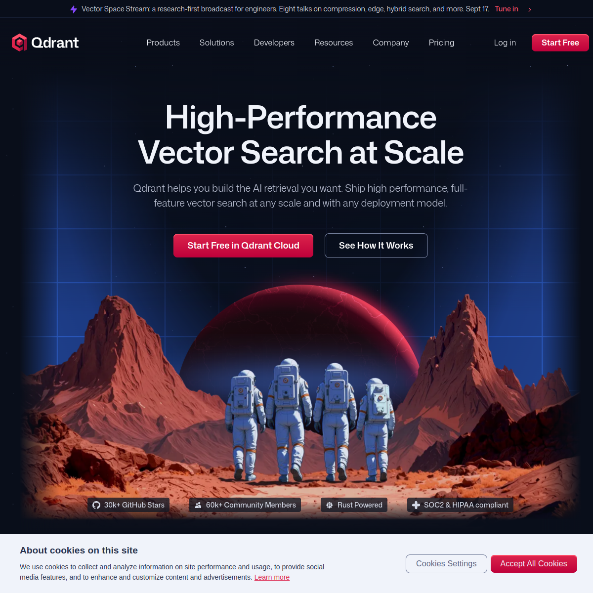 Screenshot of Qdrant
