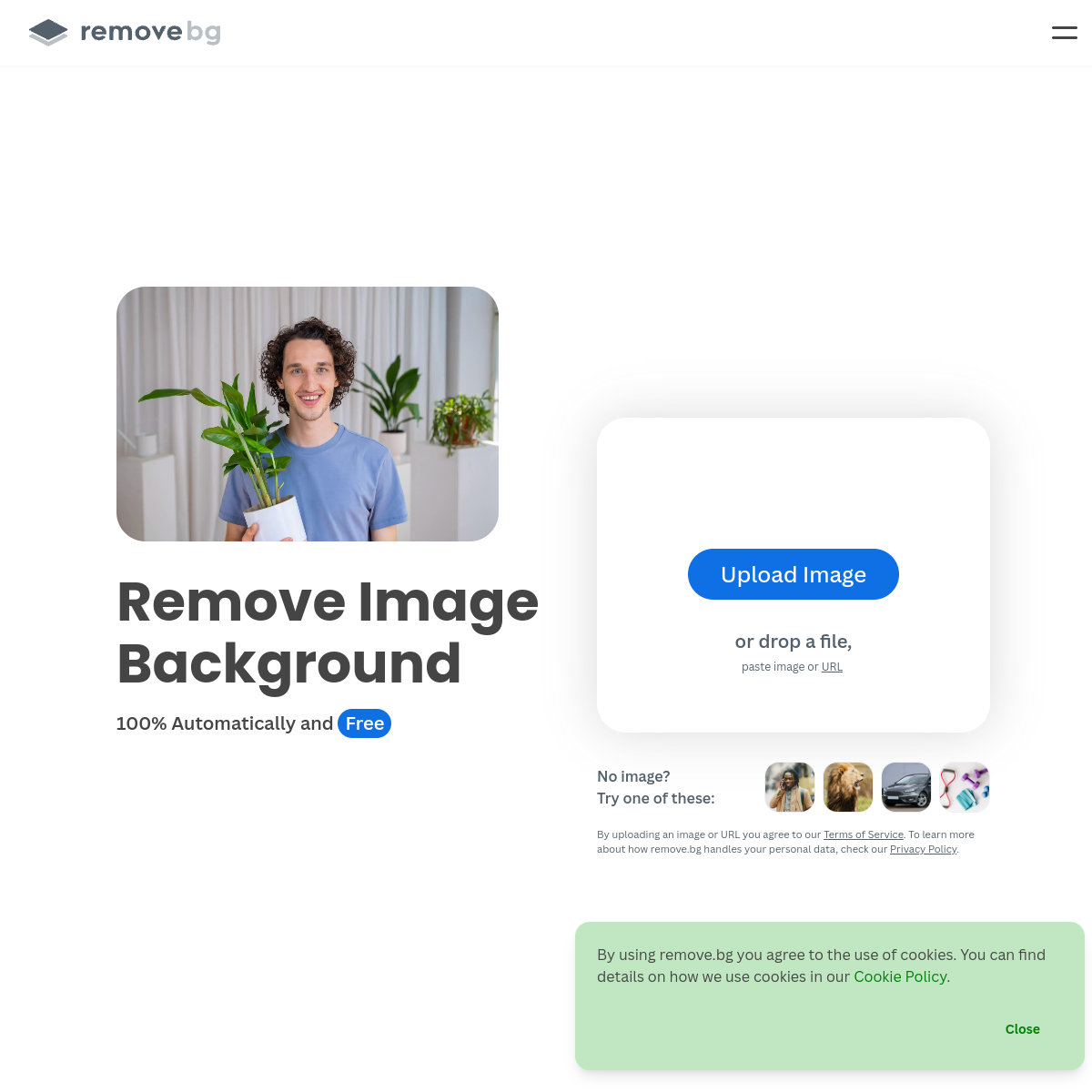 Screenshot of Remove.bg