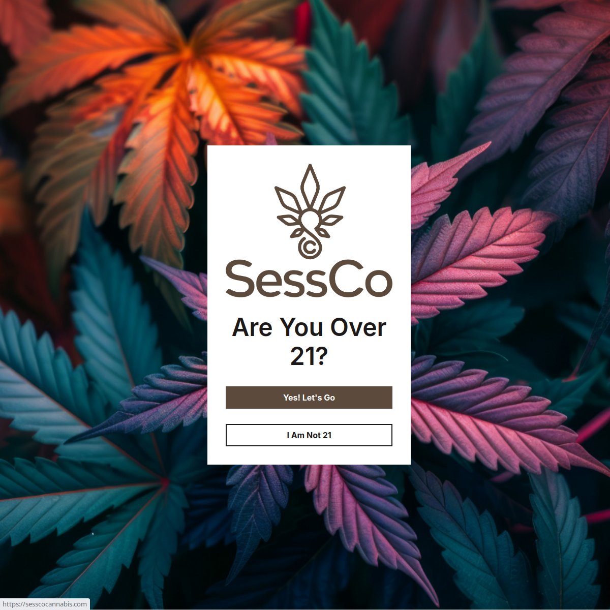 Screenshot of SessCo Dispensary