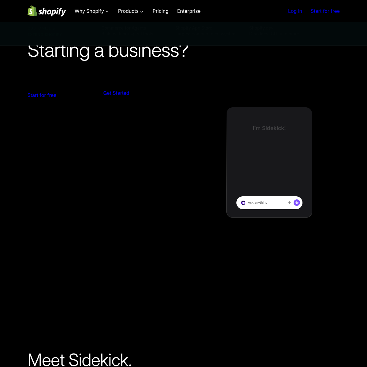 Screenshot of Shopify Magic