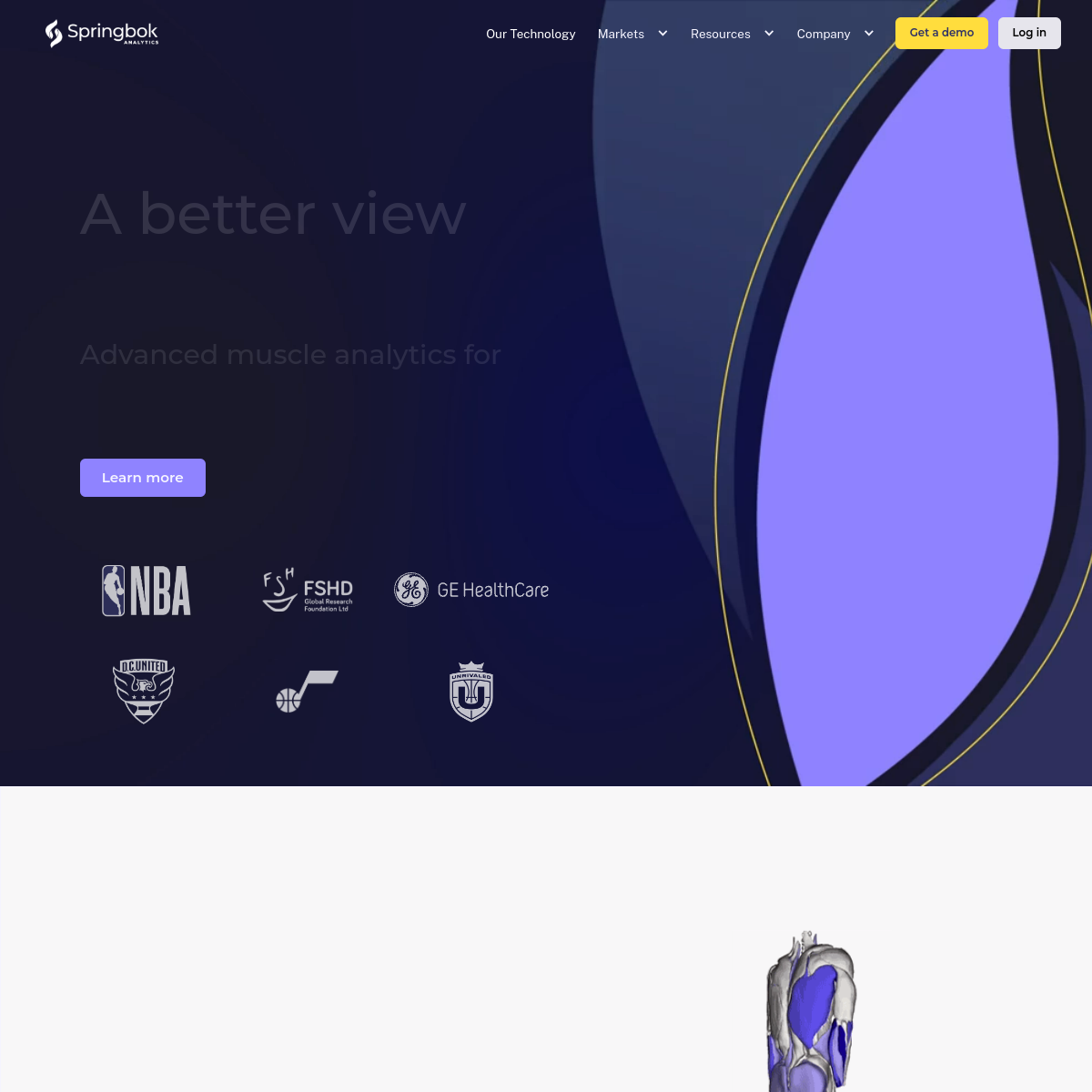 Springbok Analytics homepage