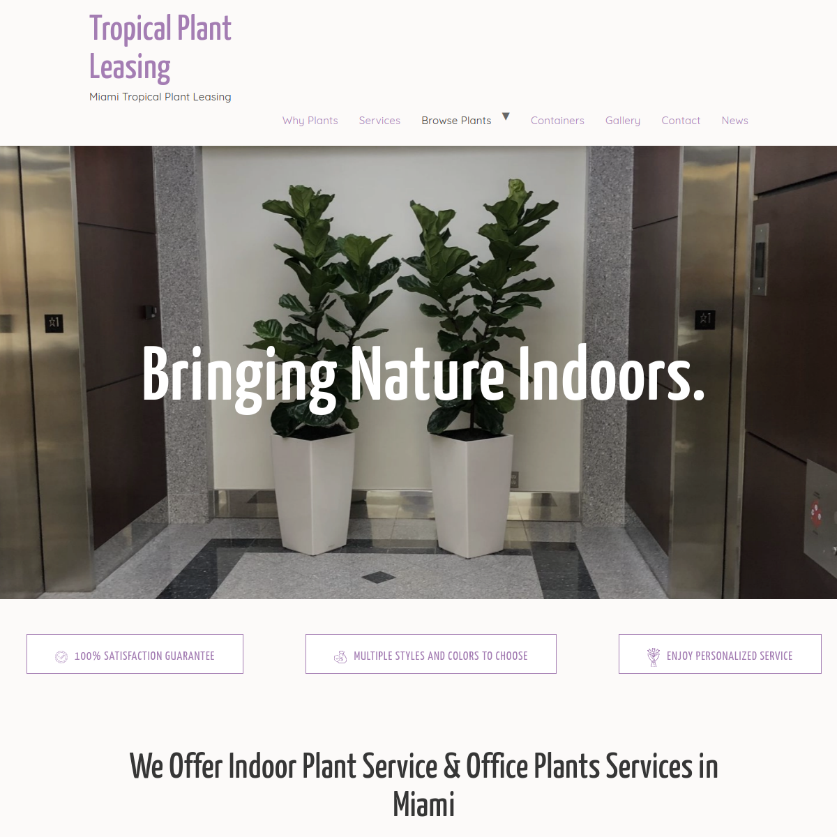 Screenshot of Tropical Plant Leasing