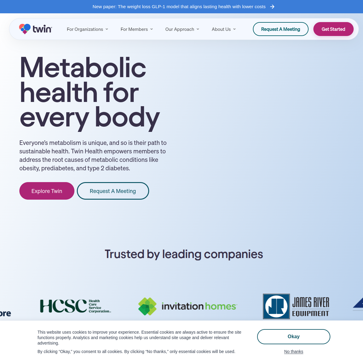 Twin Health homepage