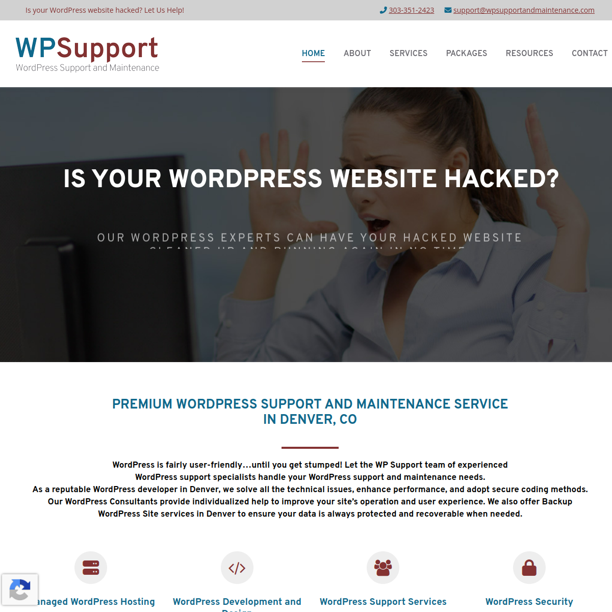 Screenshot of WP Support And Maintenance