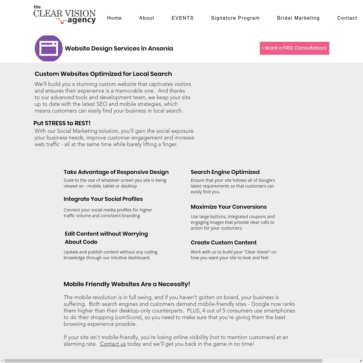 Screenshot of The Clear Vision Agency