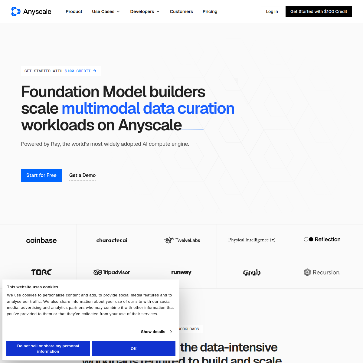 Screenshot of Anyscale