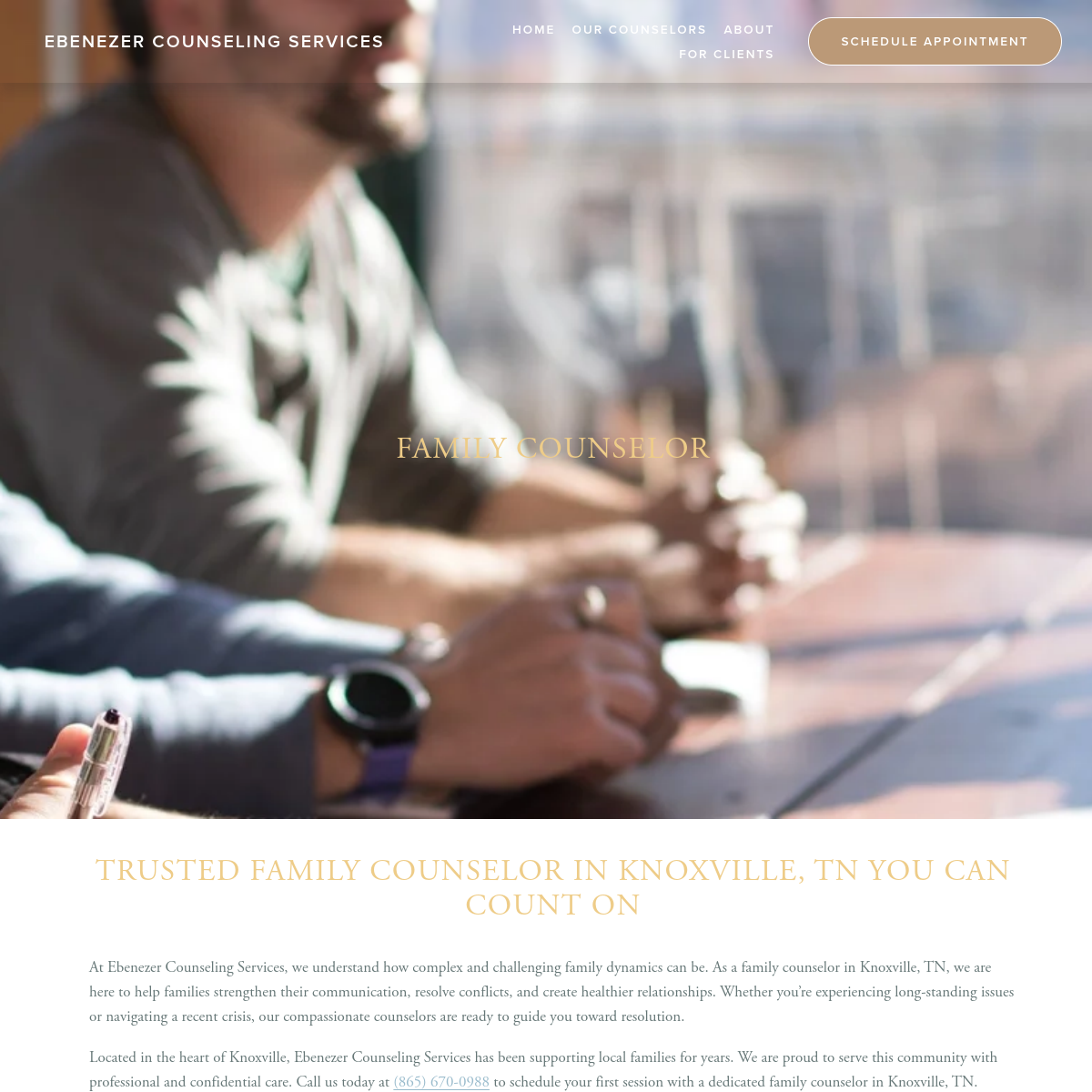 Screenshot of Ebenezer Counseling Services