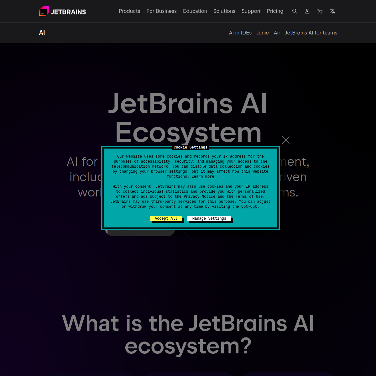 Screenshot of JetBrains AI Assistant