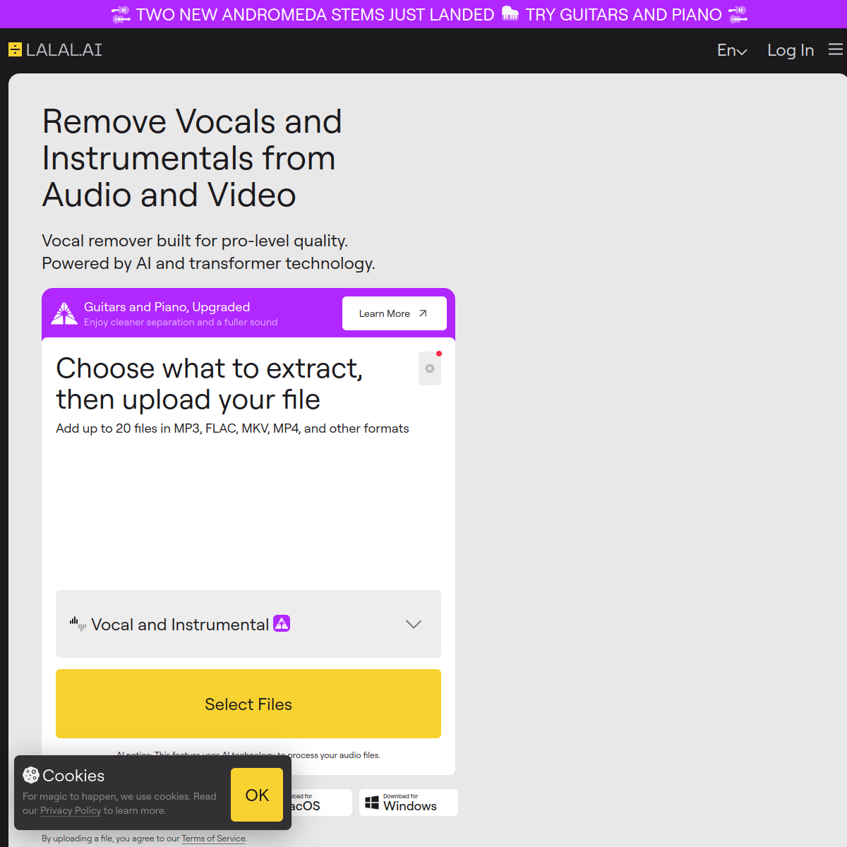 Screenshot of LALAL.AI