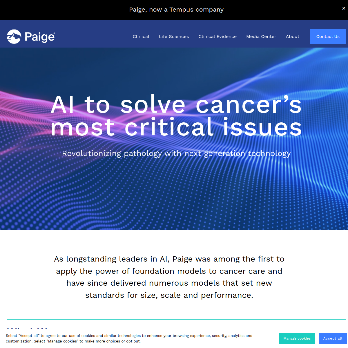 Screenshot of Paige