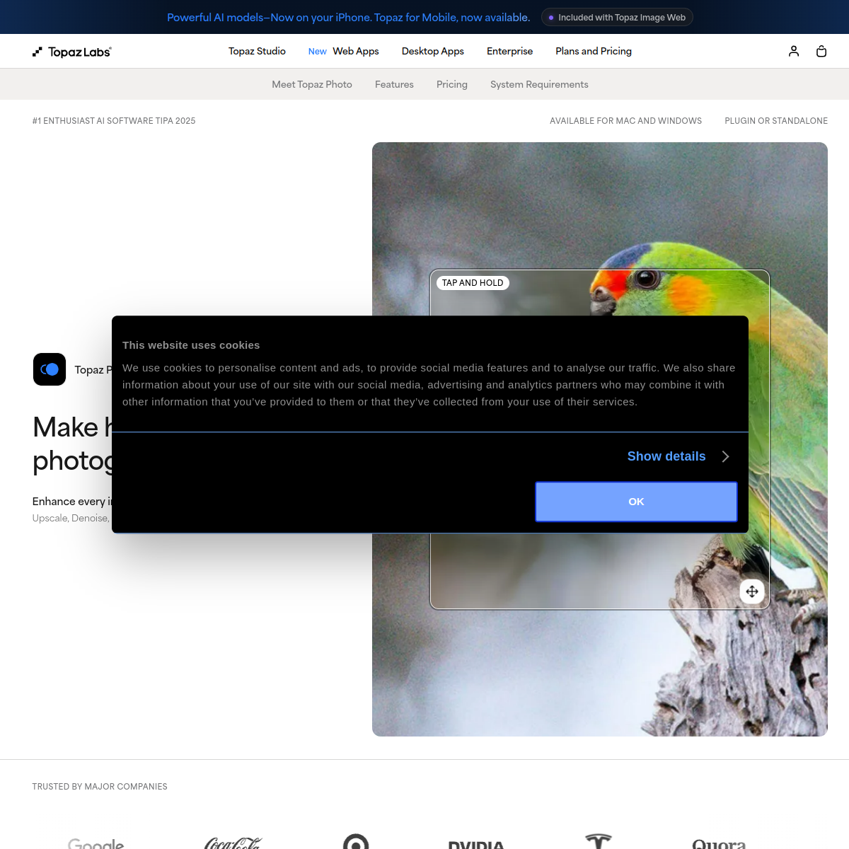 Screenshot of Topaz Photo AI