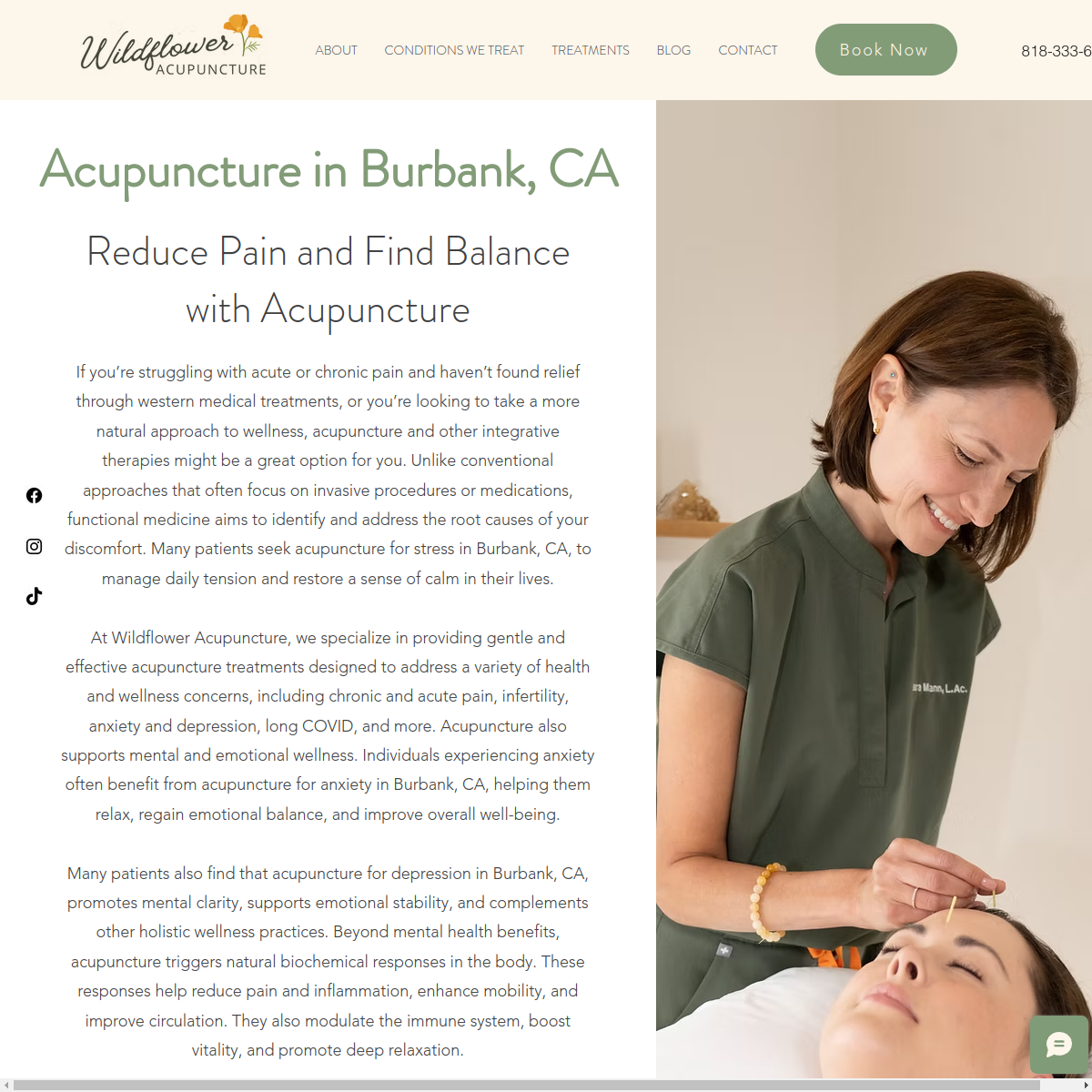 Screenshot of Wildflower Acupuncture