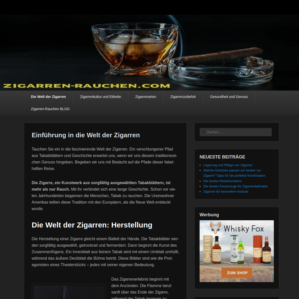 Screenshot der Website