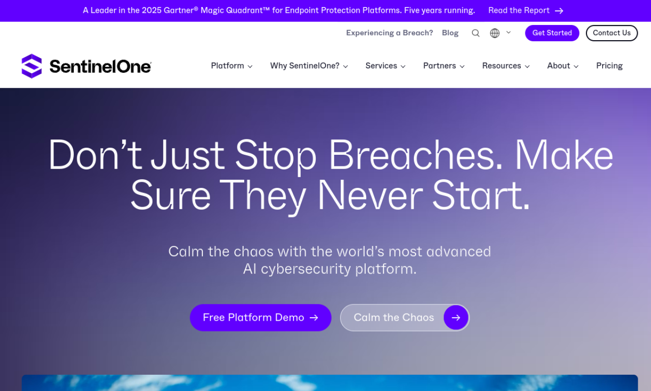 SentinelOne screenshot