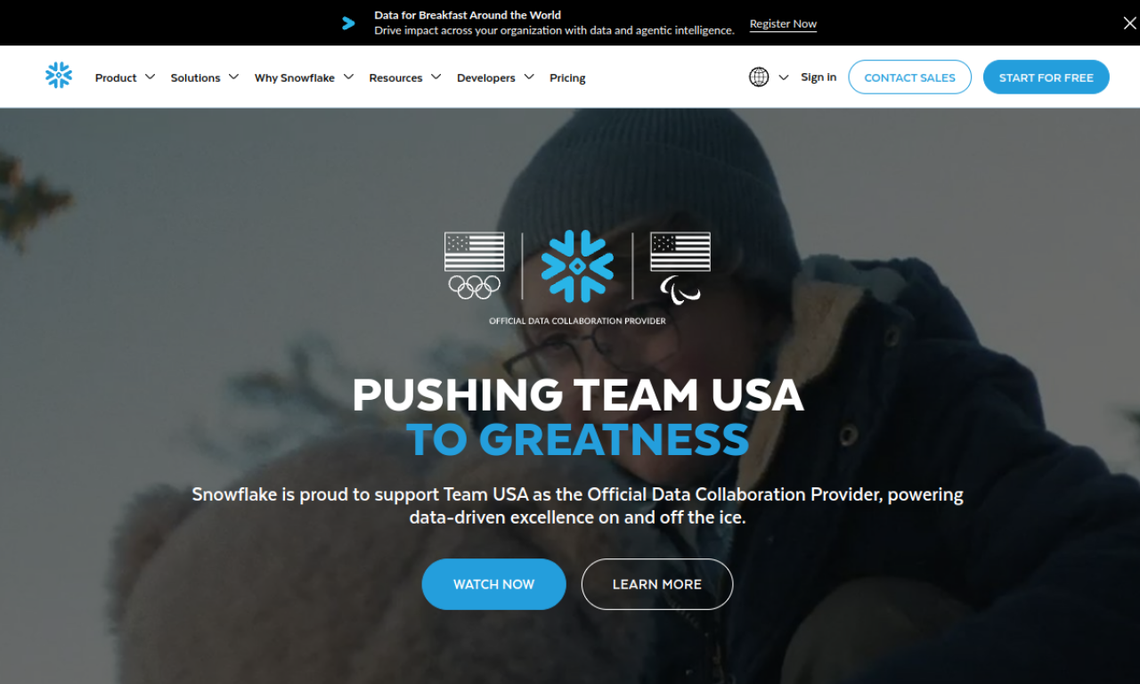 Snowflake screenshot