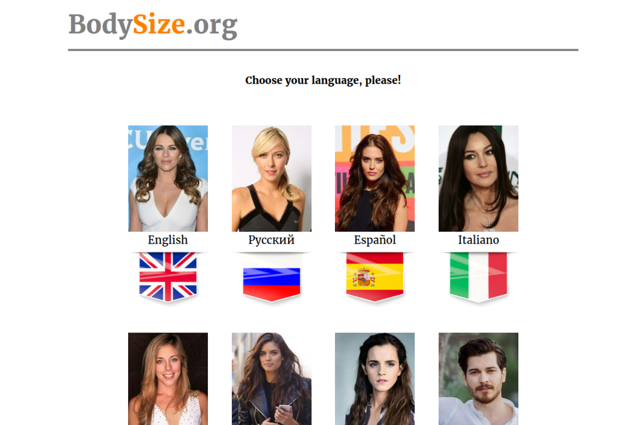Screenshot of bodysize.org