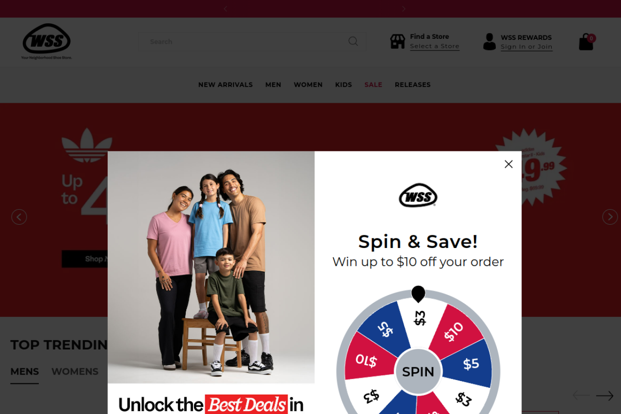 Screenshot of shopwss.com