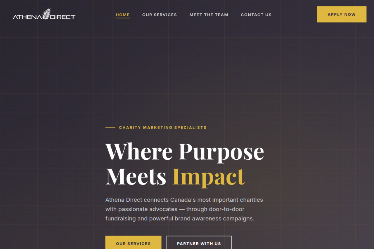 Client Project preview
