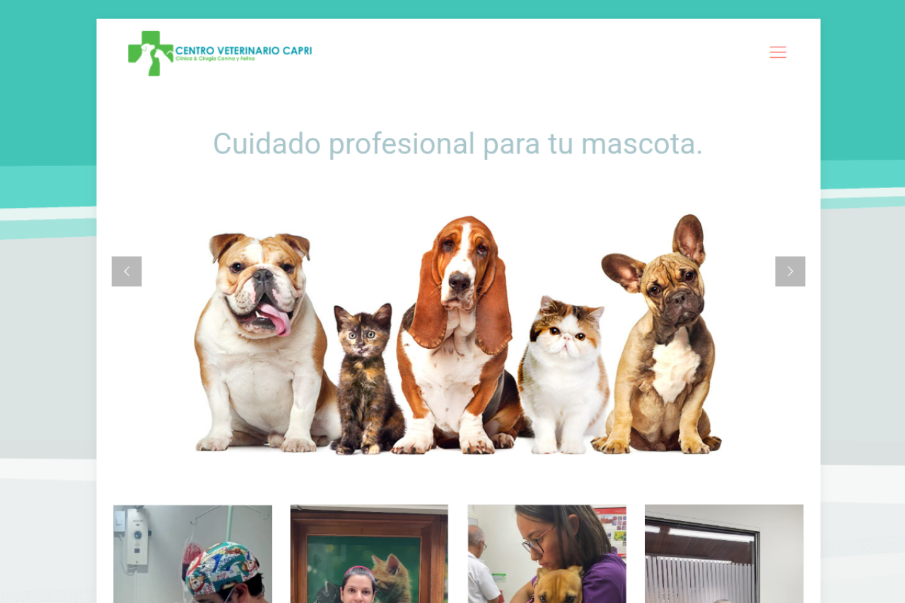 Vista previa de Centro Veterinario Capri