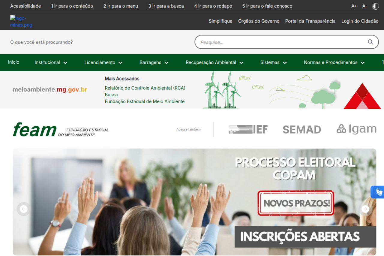 feam.br screenshot