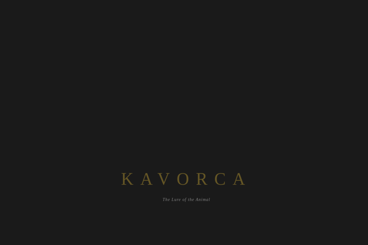 Full website screenshot of kavorca.com