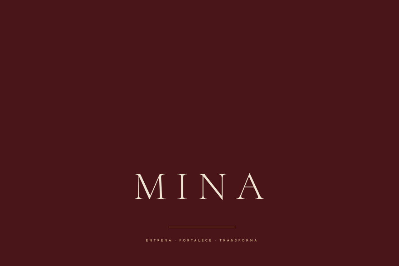 Web de MINA Studio