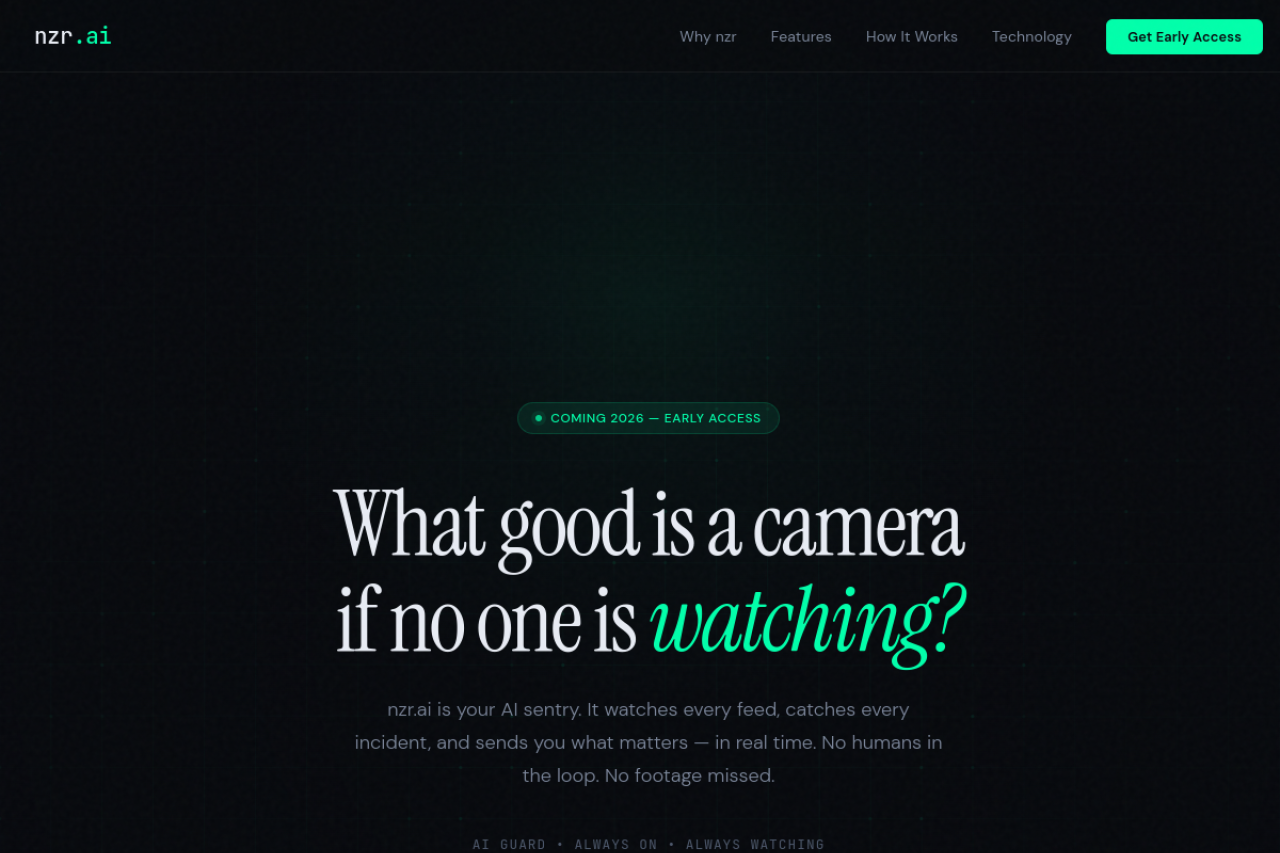 Full website screenshot of nzr.ai