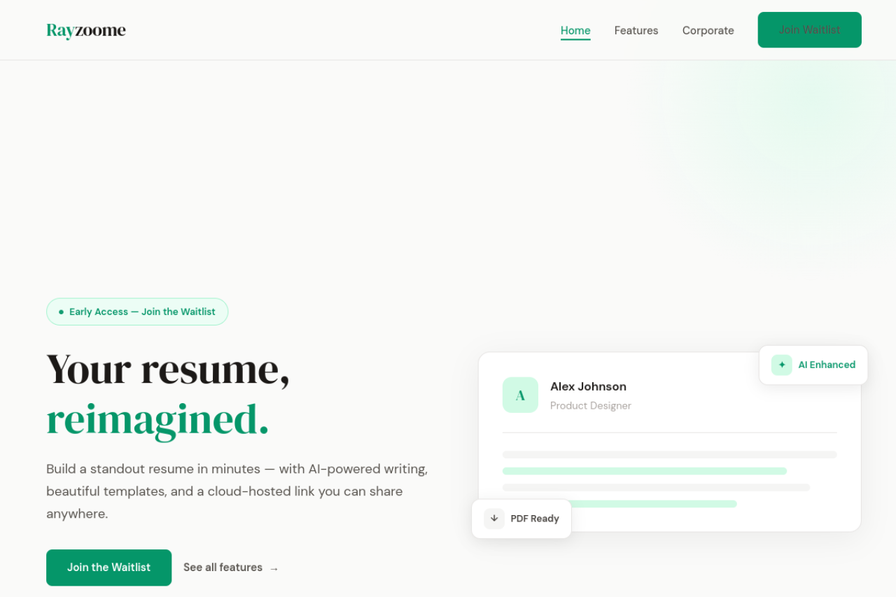 Full website screenshot of rayzoome.com