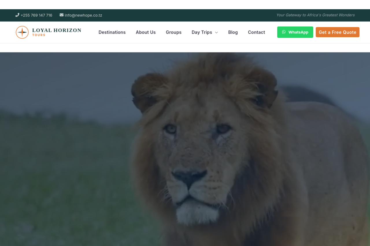 Tourism & Safari Website screenshot