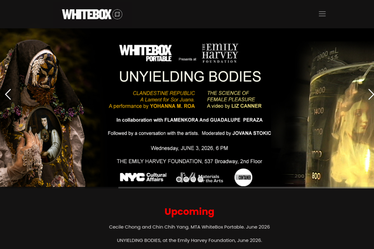 Vista previa de White Box NY