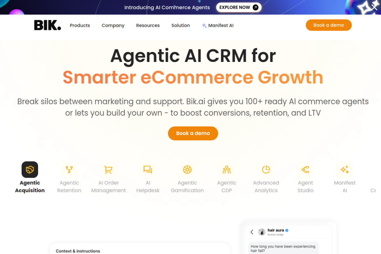 Bik Ai website screenshot