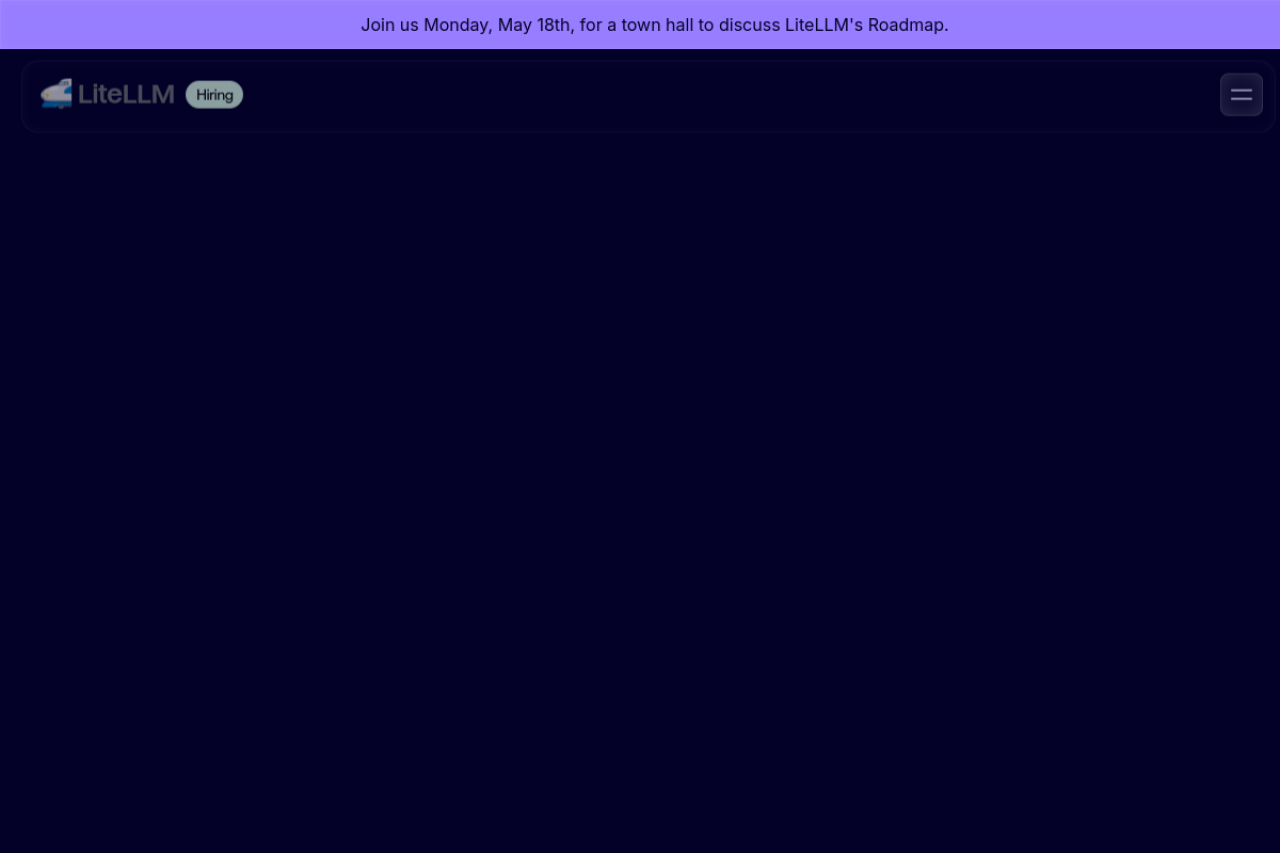 LiteLLM website screenshot