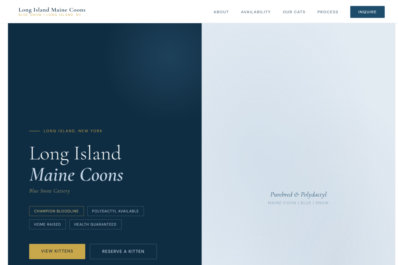 Long Island Maine Coons website