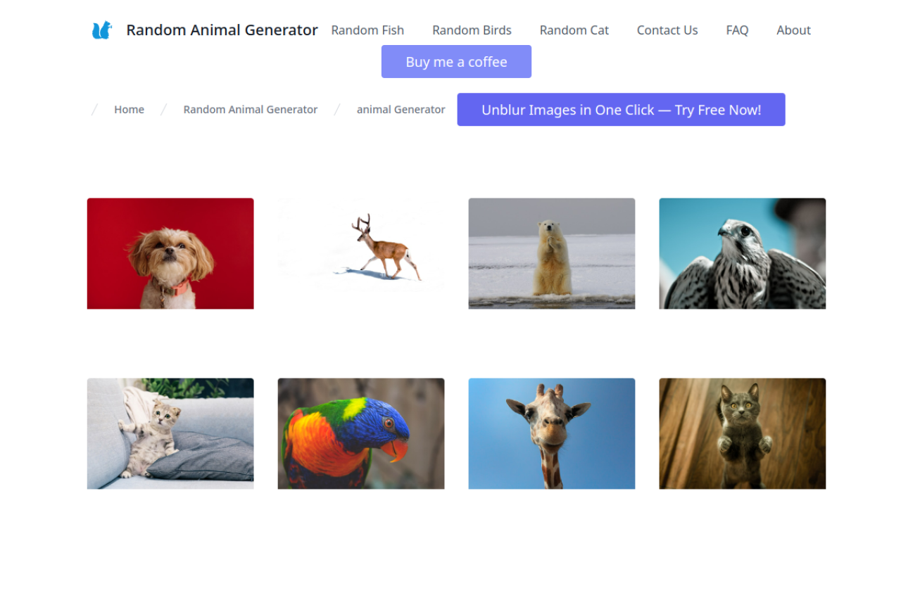 Random Animal Generator website screenshot