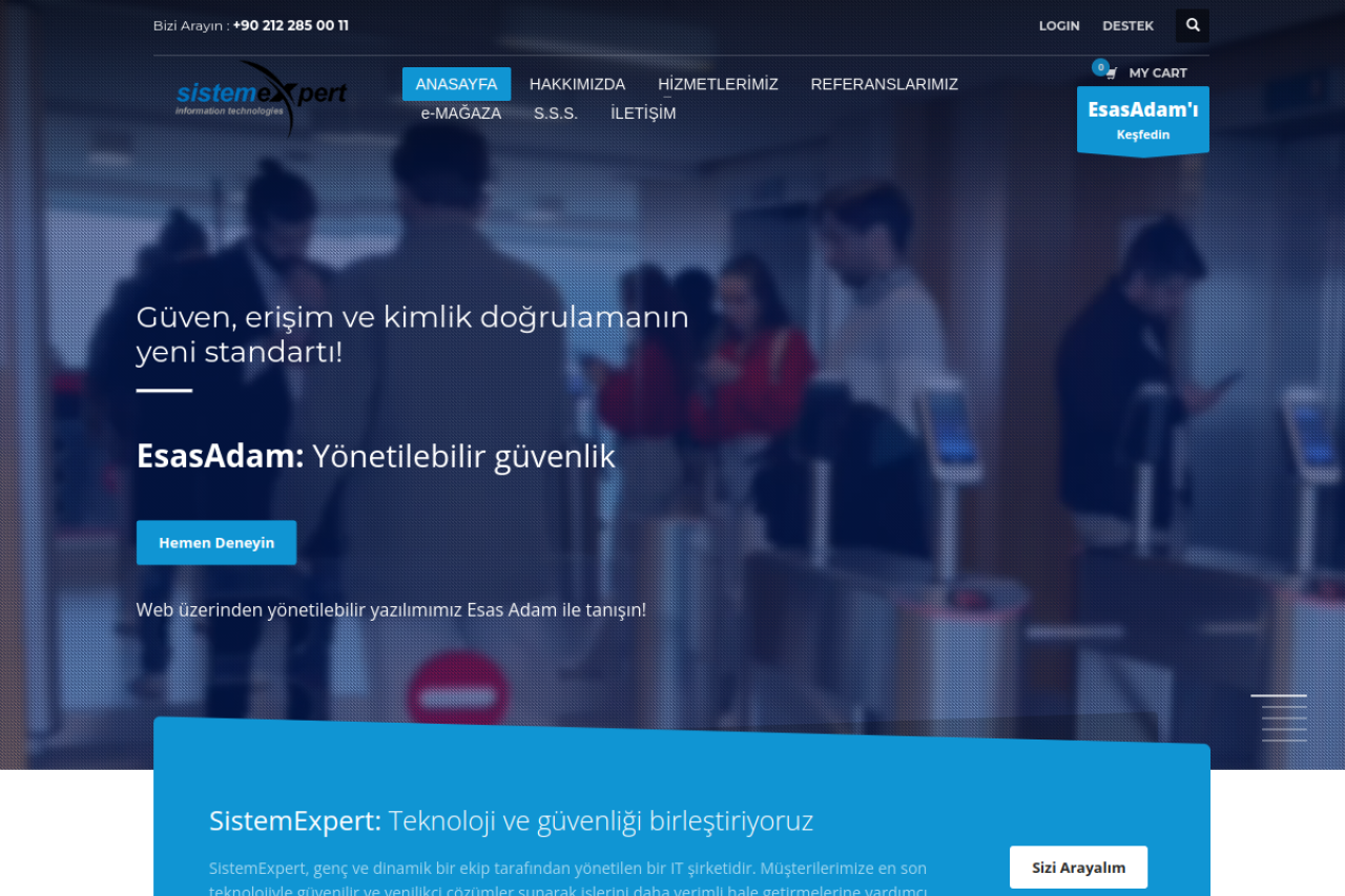 Sistemexpert Com website screenshot