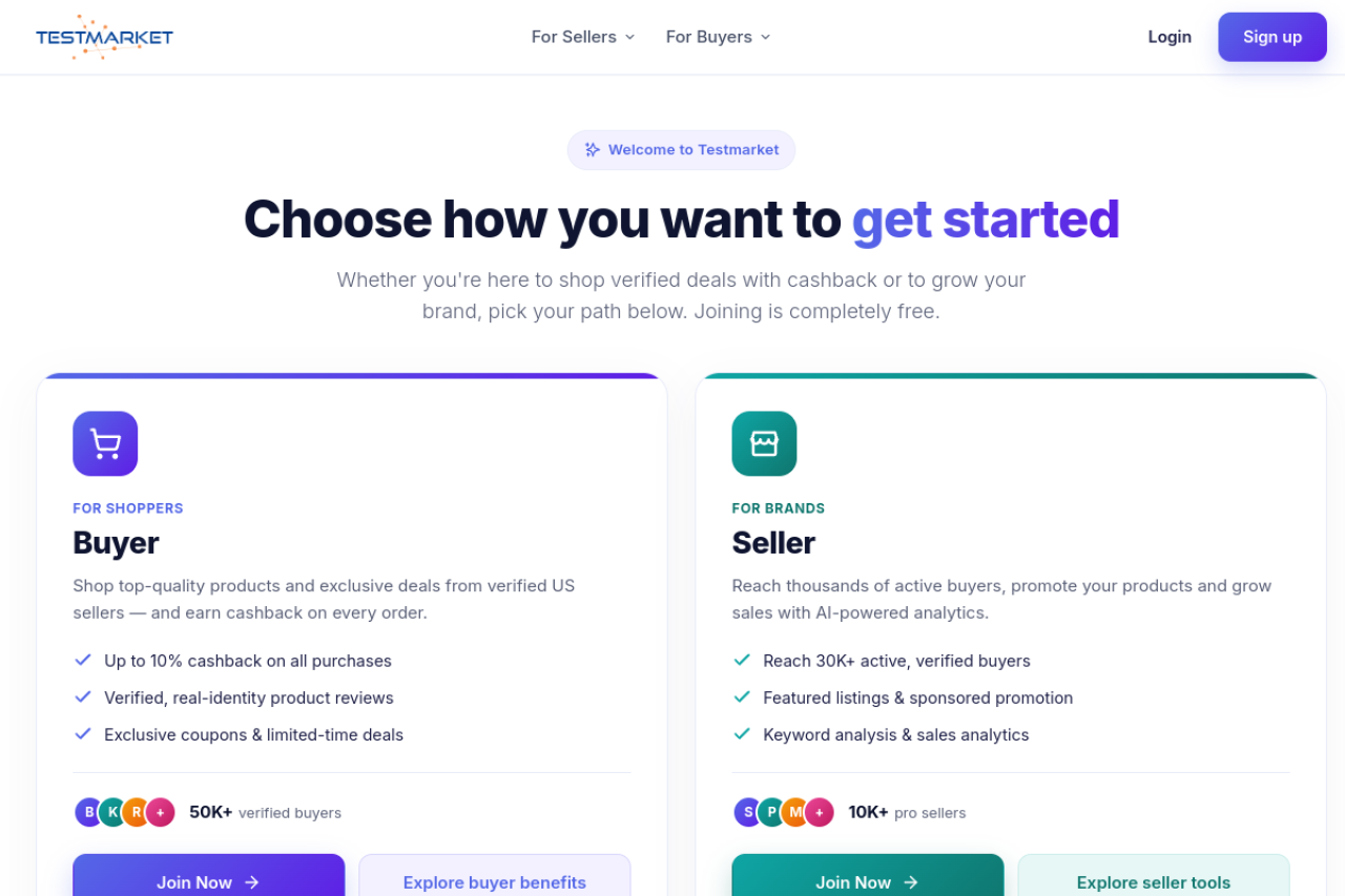 Testmarket Analytics Inc website screenshot